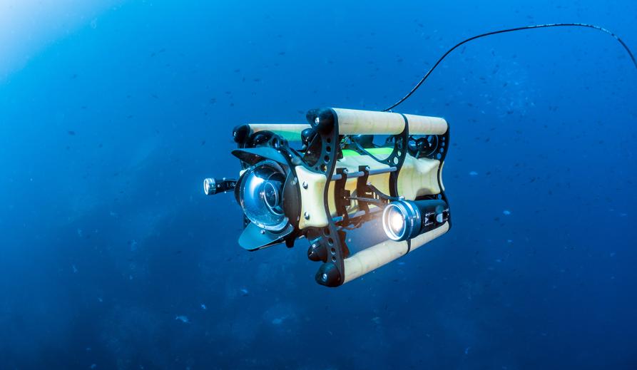 How Can AI Robots Revolutionize Underwater Exploration?