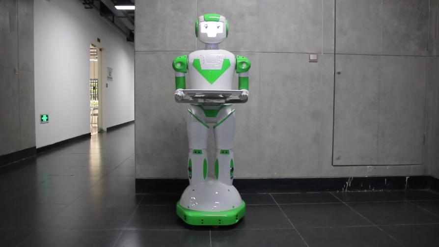 Service Robots in Education: How Can They Personalize Learning Experiences?