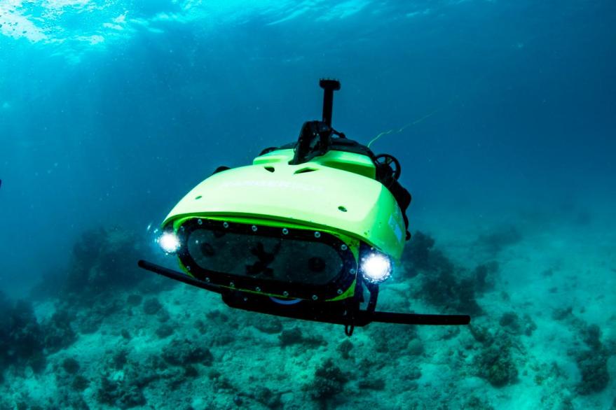 How Can AI Robots Contribute to Underwater Environmental Monitoring and Conservation?