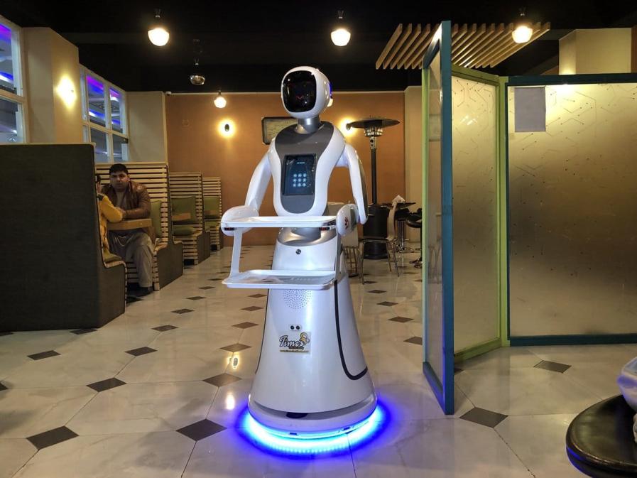 Exploring the Ethical Implications of Service Robots in Society